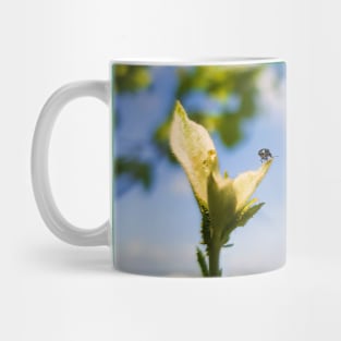 beetle looking at horizon Mug